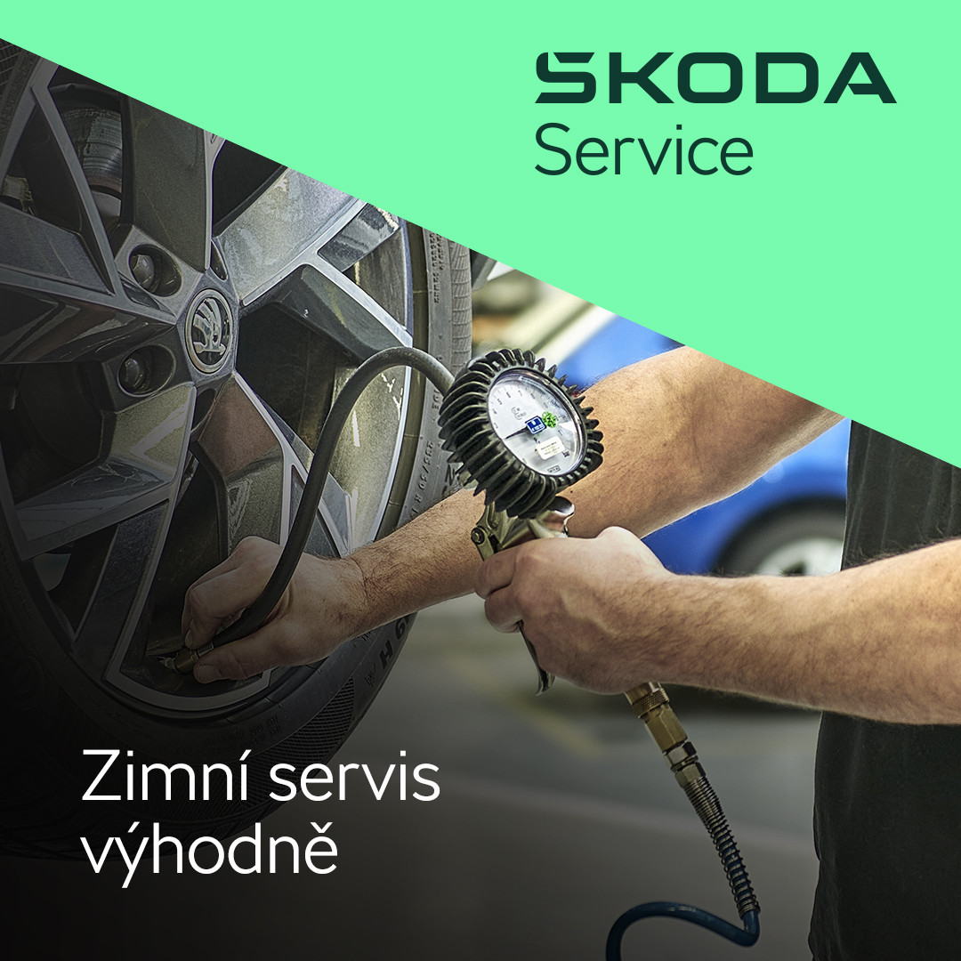 Zimní servisní prohlídka Škoda